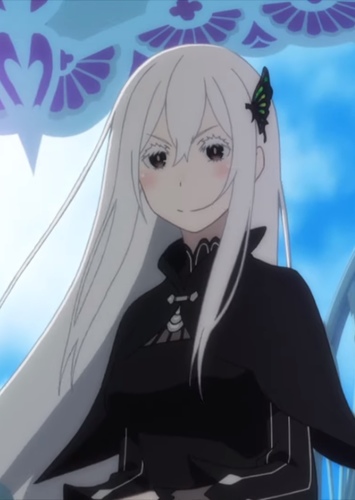 Echidna