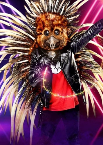 Echidna