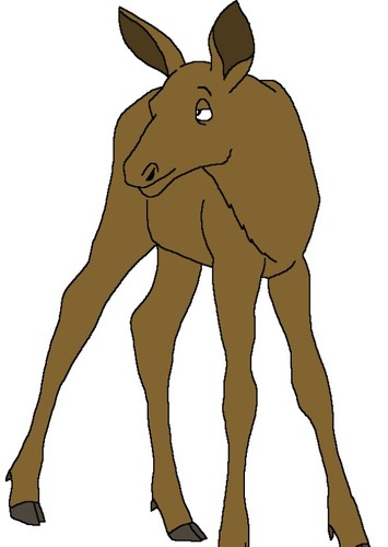 Ed