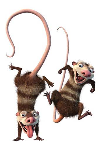 Eddie (Ice Age)