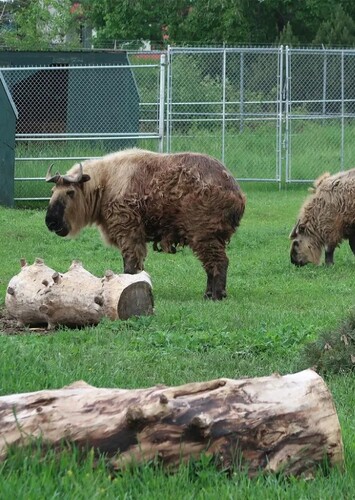 Edmonton Valley Zoo