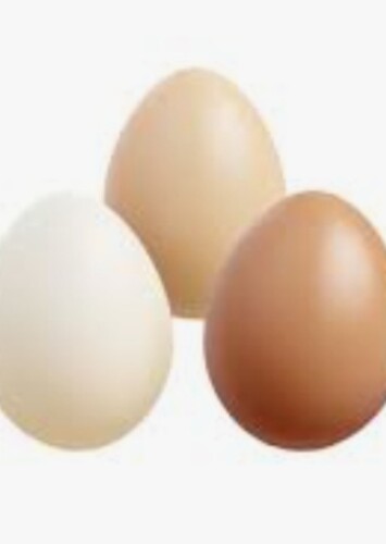 Egg
