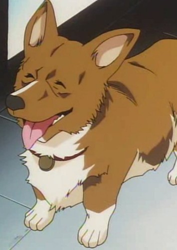 Ein