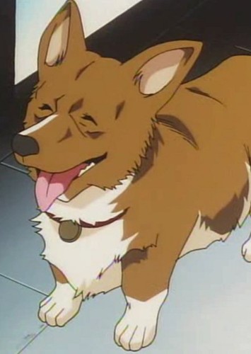 Ein