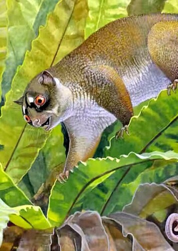 Ektopodon