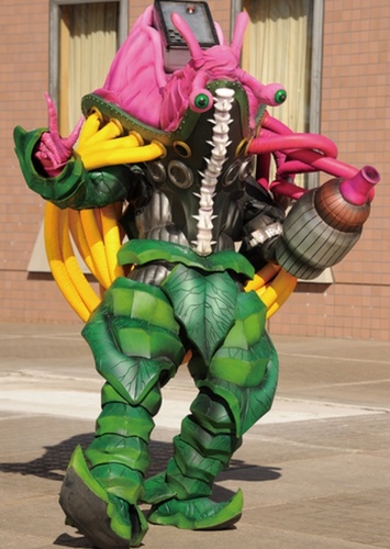 El Squidso