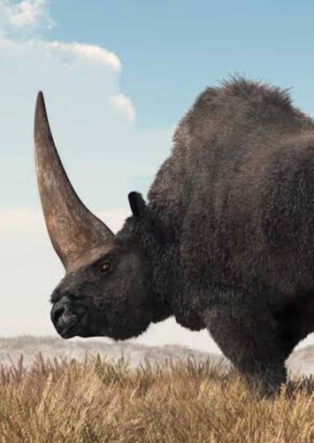 Elasmotherium
