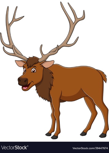 Elk