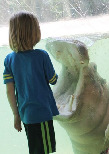 Ellen Trout Zoo