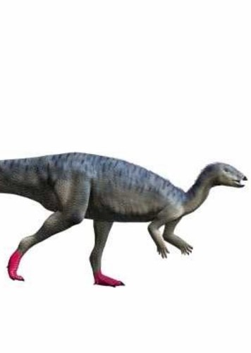 Elrhazosaurus