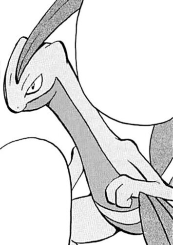 Emerald's Grovyle (English Dub)