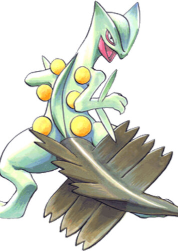 Emerald's Sceptile (English Dub)