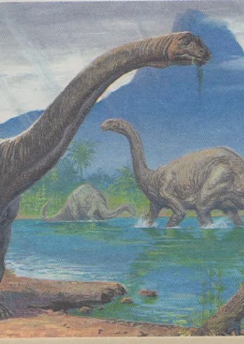 Emily The Brontosaurus