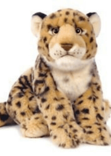 Endangered Spotted Jaguar