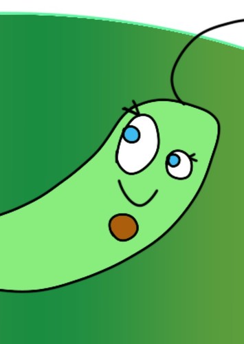 Engela