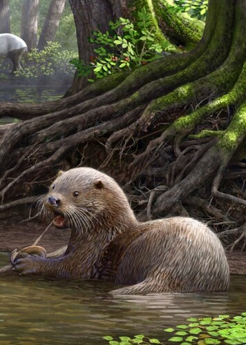 Enhydriodon