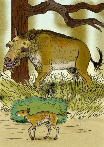 Entelodon