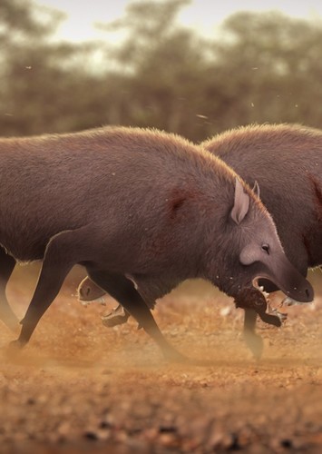 Entelodonts