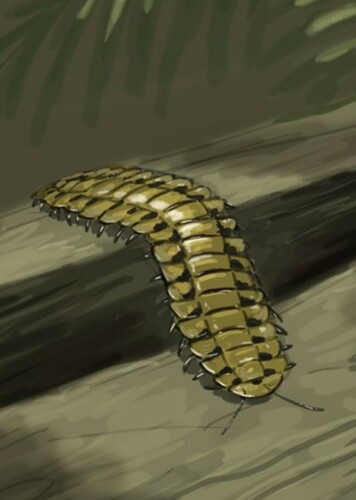 Eoarthropleura