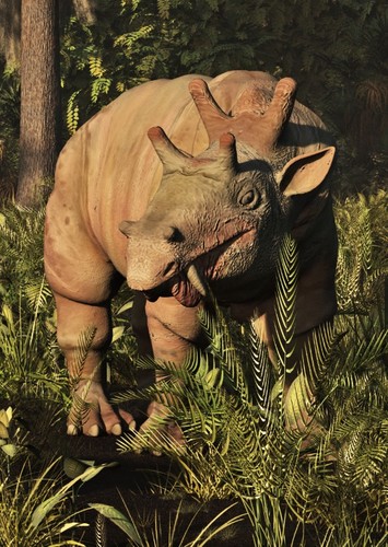 Eobasileus