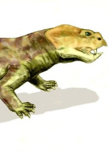 Eodicynodon Fan Casting for Prehistory myCast Fan Casting Your