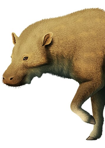 Eoentelodon