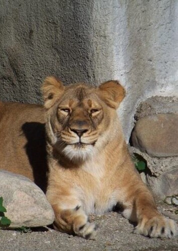 Erie Zoo