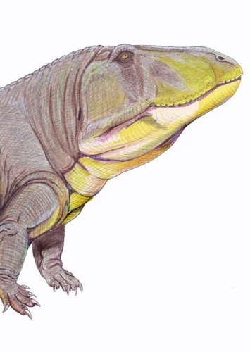Erythrosuchus