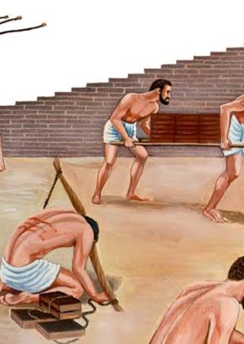 Escravo do farao