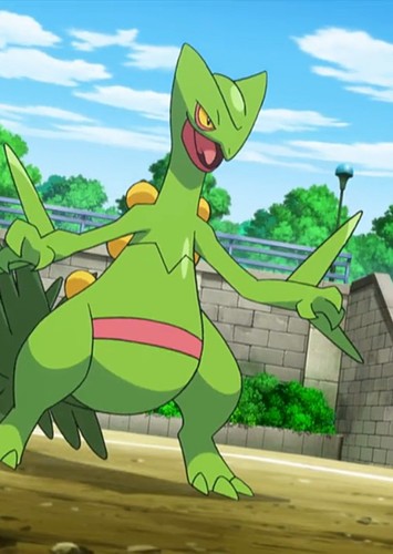 Espio's Sceptile