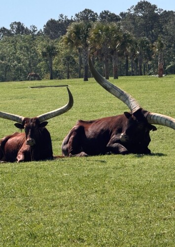 Eudora Wildlife Safari Park