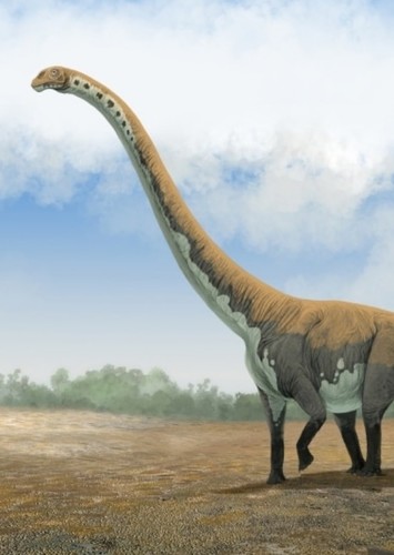 Euhelopus