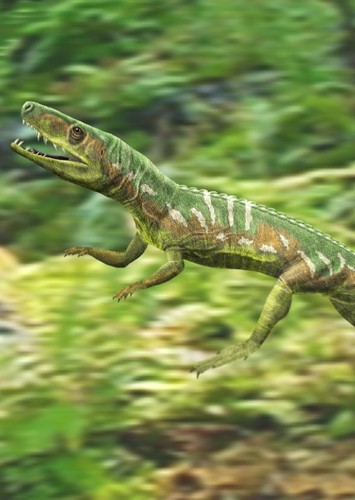 Euparkeria