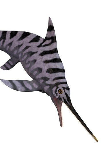 Eurhinosaurus