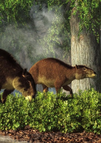 Eurohippus