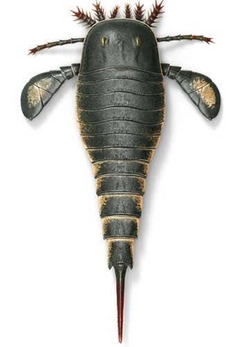 Eurypterus