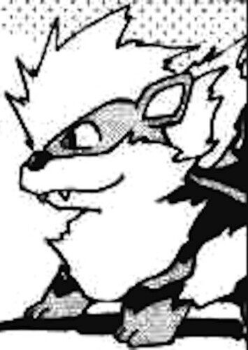 Evan's Arcanine (English Dub)