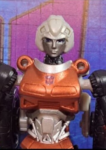 Evil Arcee