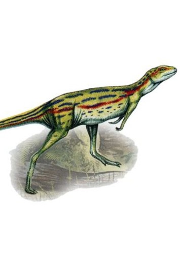 Fabrosaurus