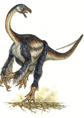 Falcarius