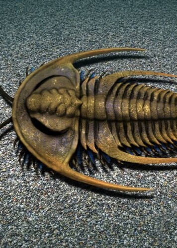Fallotaspis