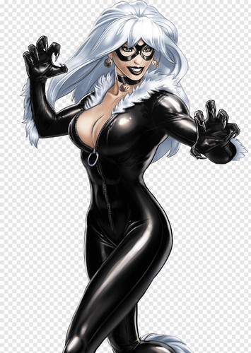 Black cat