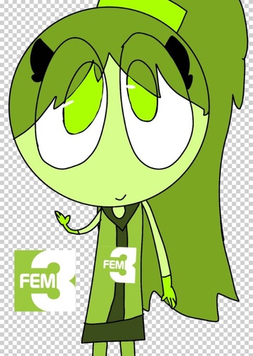 FEM3