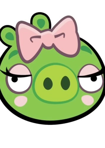 Female Pig