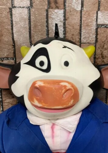 Ferny Toro