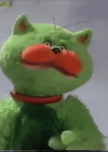 Fifi the Cat