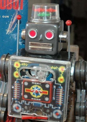 Fighting Robot