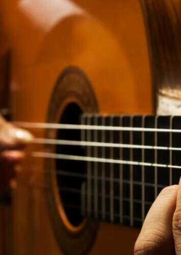Flamenco/Classical Acoustic Guitar Player