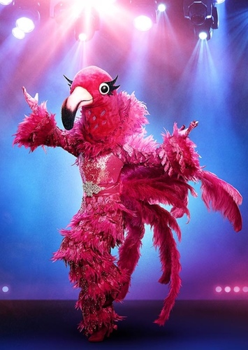 Flamingo