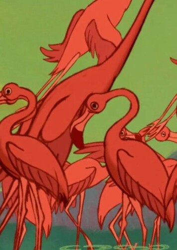 Flamingos